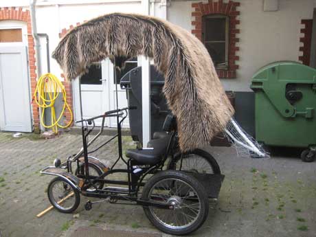 rikscha-seitl3.jpg