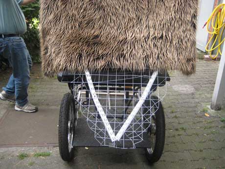 rkscha-schweif.jpg