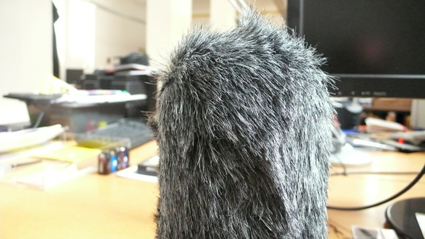 wooly wammel
