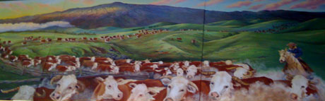 cows.jpg