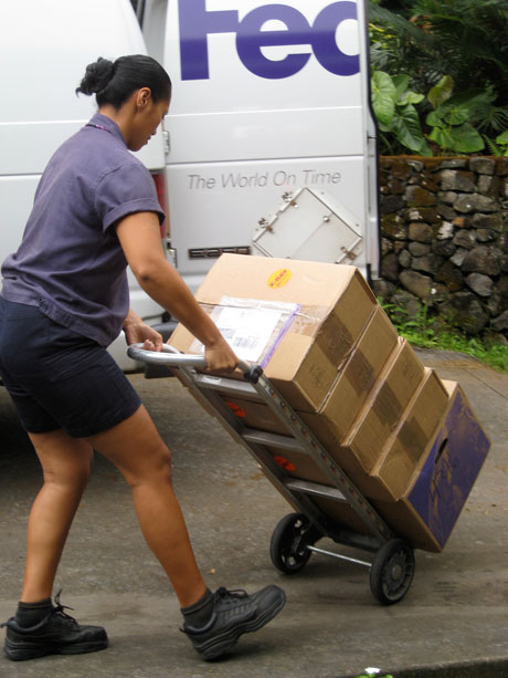fedexlady_1746.jpg