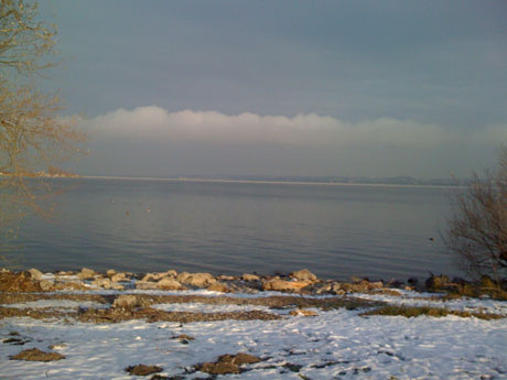 bodenseewinterstimmung Winter at the Lake of Constnace