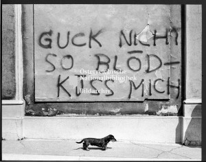 Don't look at me that chuckleheaded, kiss me