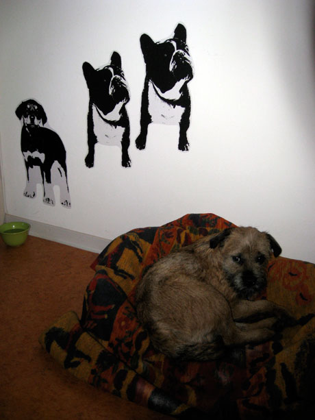 hundefamilie