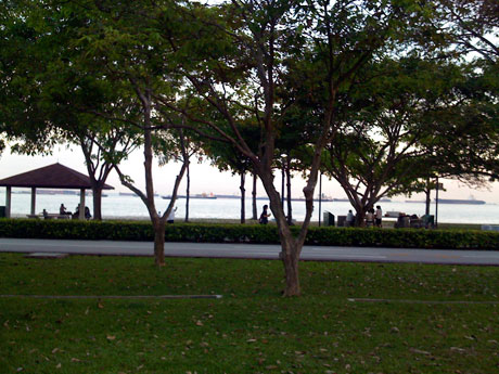 beachview0942 View from our Goldkist beach resort