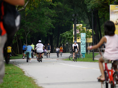 bikes-everywhere Not only girls like bikes