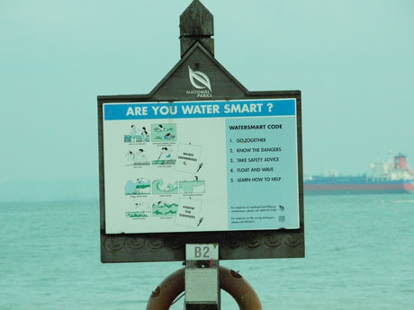 smart-swimmer For Arne, who likes swimming so much!
