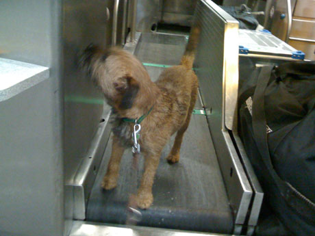 sopaketband Sophie wants to travel with us