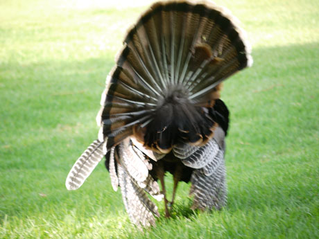 truthahn_imwind it's hard for the guy to stand his ground in this game