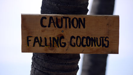 coconut For me America is the country of signs with caution appeals, here one of them.