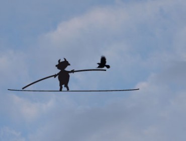 Biest with rook in balance