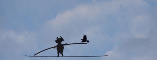Biest with rook in balance